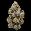 garlic-breath-strain-bud