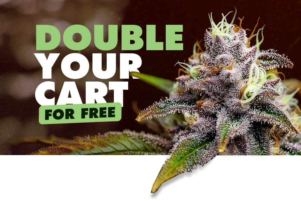 Titan Seeds BOGO promotion: Buy One Get One Free