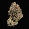 motorbreath cannabis bud