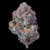 purple runtz bud