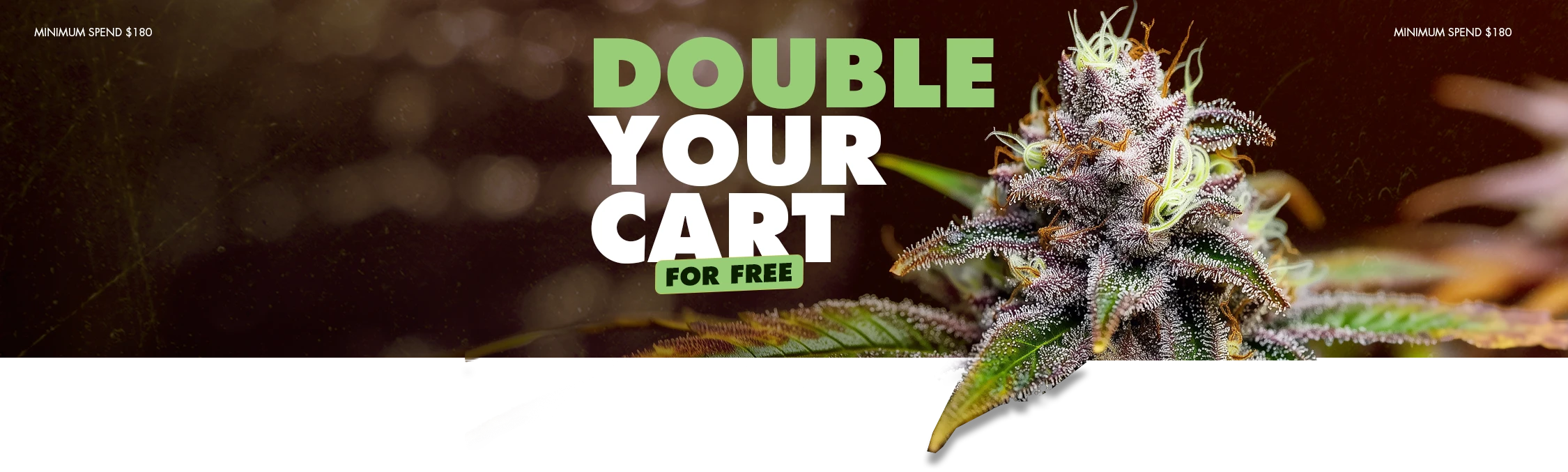 Titan Seeds BOGO promotion: Buy One Get One Free