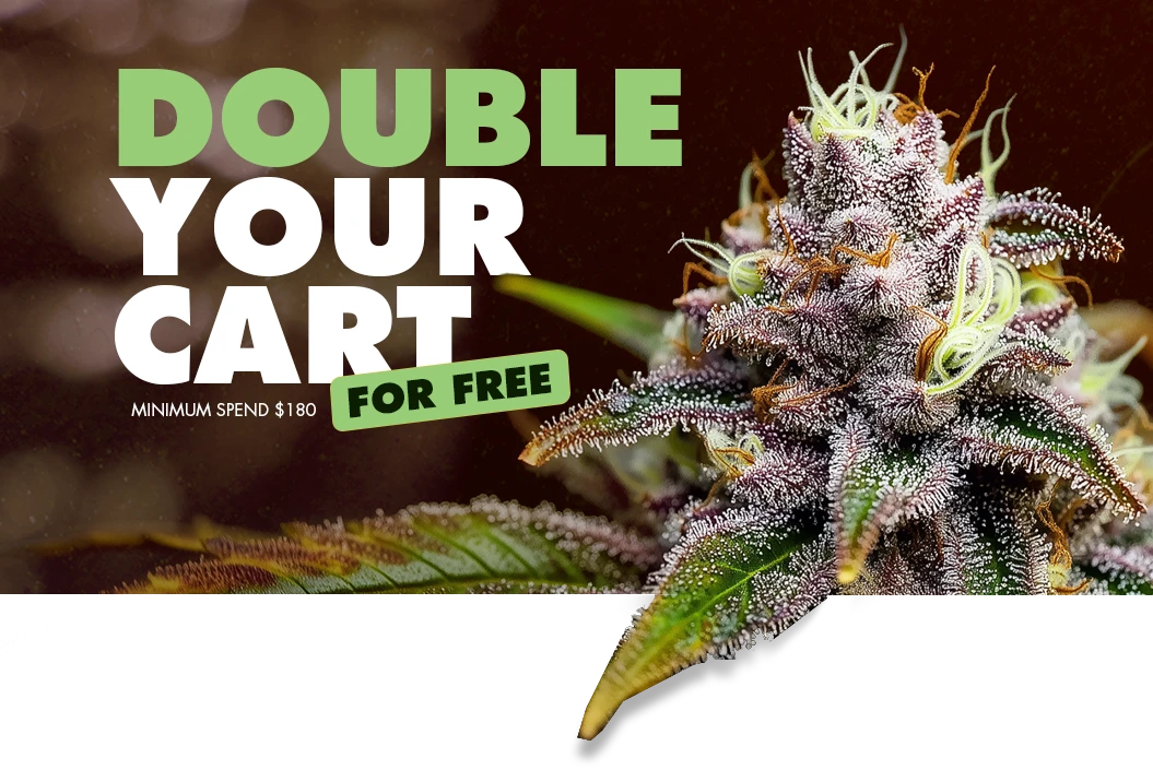 Titan Seeds BOGO promotion: Buy One Get One Free